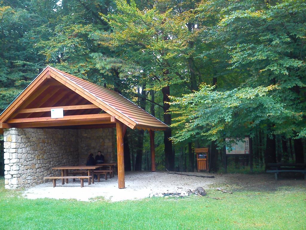 Judit Apartman Vonyarcvashegy Exterior photo